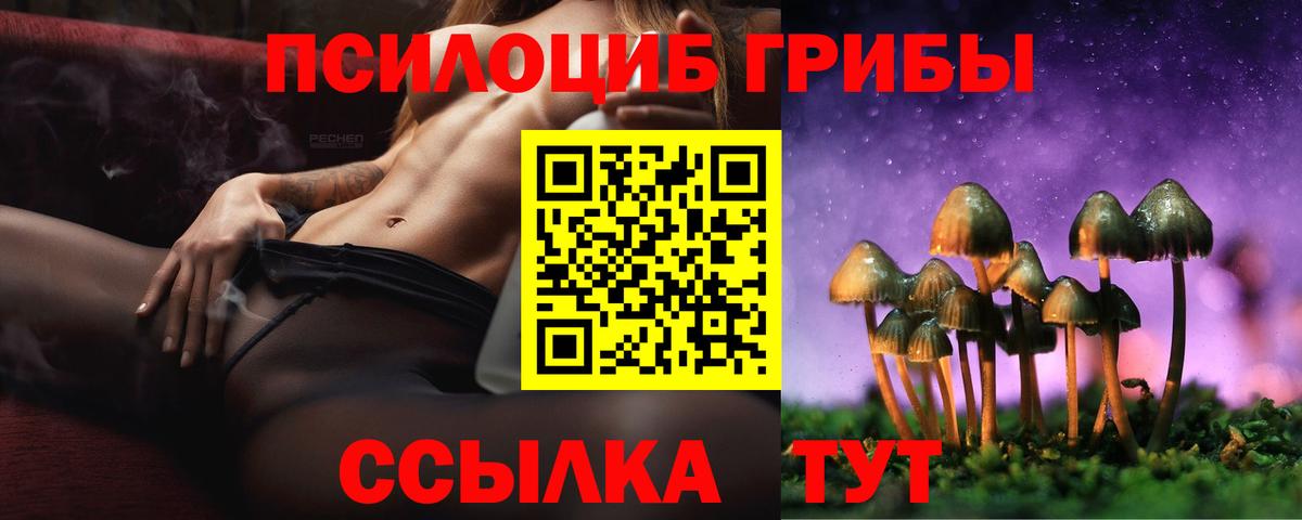 Чайковский  Псилоцибиновые грибы Magic Shrooms  Псилоцибиновые грибы Psilocybe  Вход с VPN 