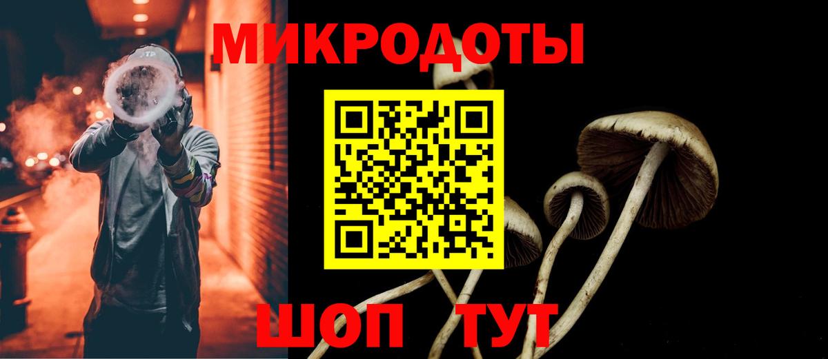 Галлюциногенные грибы мицелий Чайковский