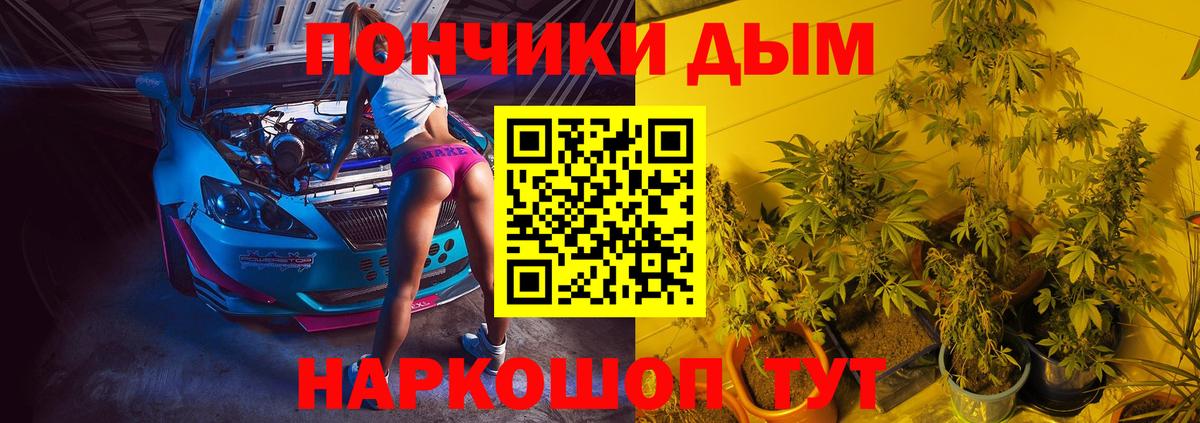 Бошки Шишки White Widow  Шишки марихуана Bruce Banner  Чайковский  Вход с VPN  Марихуана MAZAR  МАРИХУАНА MAZAR 